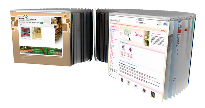 Web Design & Management